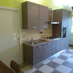 Rent 2 bedroom apartment of 40 m² in Torino