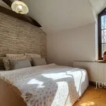 Pronajměte si 3 ložnic/e dům o rozloze 65 m² v Husinec