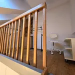 Rent 1 bedroom apartment of 20 m² in Pilsen