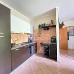 Rent 4 bedroom house of 130 m² in Perugia