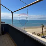 Rent 2 bedroom apartment of 40 m² in Nettuno