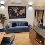 Rent 4 bedroom apartment of 120 m² in Roma