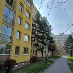 Rent 4 bedroom apartment of 63 m² in Praha 11