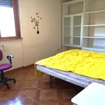 Rent 3 bedroom apartment of 90 m² in Roma