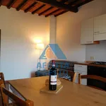 Rent 2 bedroom apartment of 45 m² in Florence