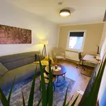 Rent 2 bedroom apartment of 42 m² in Nuremberg