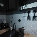 Rent 1 bedroom apartment of 24 m² in Capital City of Prague