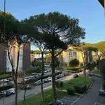 Rent 4 bedroom apartment of 115 m² in Rome