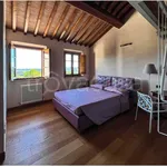 Rent 4 bedroom apartment of 100 m² in Vicopisano