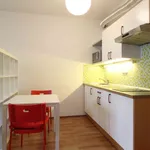 Rent 1 bedroom apartment in Praha 3