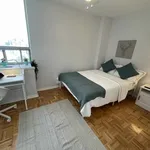 Rent 1 bedroom apartment in Old Toronto