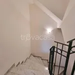 Affitto 5 camera appartamento di 100 m² in Viareggio