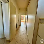 Rent 1 bedroom apartment of 45 m² in Brno