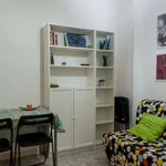 Rent 1 bedroom apartment of 45 m² in rome