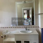 Rent 1 bedroom apartment of 100 m² in Malaga