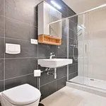 Rent 2 bedroom apartment in Brno