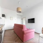 Rent 1 bedroom apartment in Bologna