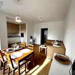 Rent 3 bedroom apartment of 59 m² in Gliwice