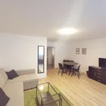 Rent 1 bedroom apartment of 58 m² in Dusseldorf