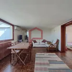 Rent 2 bedroom apartment of 50 m² in Venice