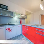 Rent 1 bedroom apartment in Ostrava