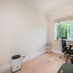 Rent 1 bedroom flat in London