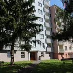 Rent 2 bedroom apartment of 53 m² in Karlovy Vary