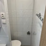 Rent 1 bedroom apartment in Přerov