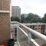 Huur 3 slaapkamer appartement van 70 m² in Den Haag