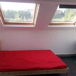 Huur 1 slaapkamer appartement in Liège