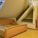 Rent 4 bedroom apartment of 189 m² in Prague