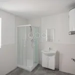 Rent 1 bedroom apartment of 45 m² in Sokolov