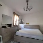 Rent 2 bedroom apartment of 60 m² in Pavia