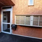 Rent 1 bedroom apartment of 33 m² in Toulouse