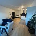 Rent 1 bedroom apartment of 40 m² in Zandvoort