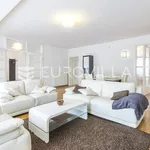 Rent 4 bedroom apartment of 170 m² in Zagreb