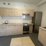 Rent 4 bedroom apartment of 121 m² in Szczecin