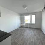 Pronajměte si 1 ložnic/e byt o rozloze 25 m² v Prague