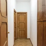 Rent 1 bedroom apartment in rome