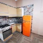 Rent 3 bedroom apartment of 75 m² in Torino