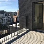 Rent 3 bedroom apartment of 150 m² in Uccle - Ukkel