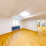 Rent 3 bedroom apartment in Plzeň