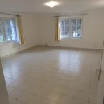 Rent 1 bedroom apartment in Rychnov nad Kněžnou