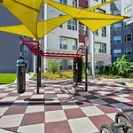 Rent 1 bedroom apartment in Tempe