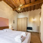 Rent 1 bedroom apartment of 55 m² in Florence