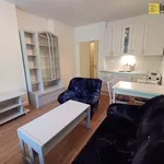 Rent 1 bedroom apartment in Železná Ruda