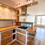 Rent 3 bedroom apartment of 51 m² in Grenoble