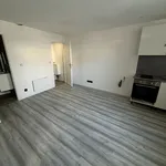 Rent 1 bedroom apartment of 22 m² in MeximieuxT