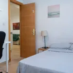 Rent a room in madrid