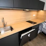 Rent 1 bedroom apartment in Brno